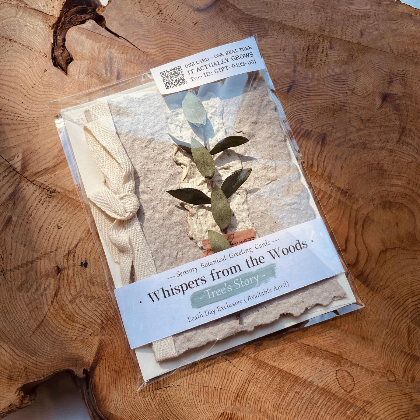 Tree Story with Eucalyptus